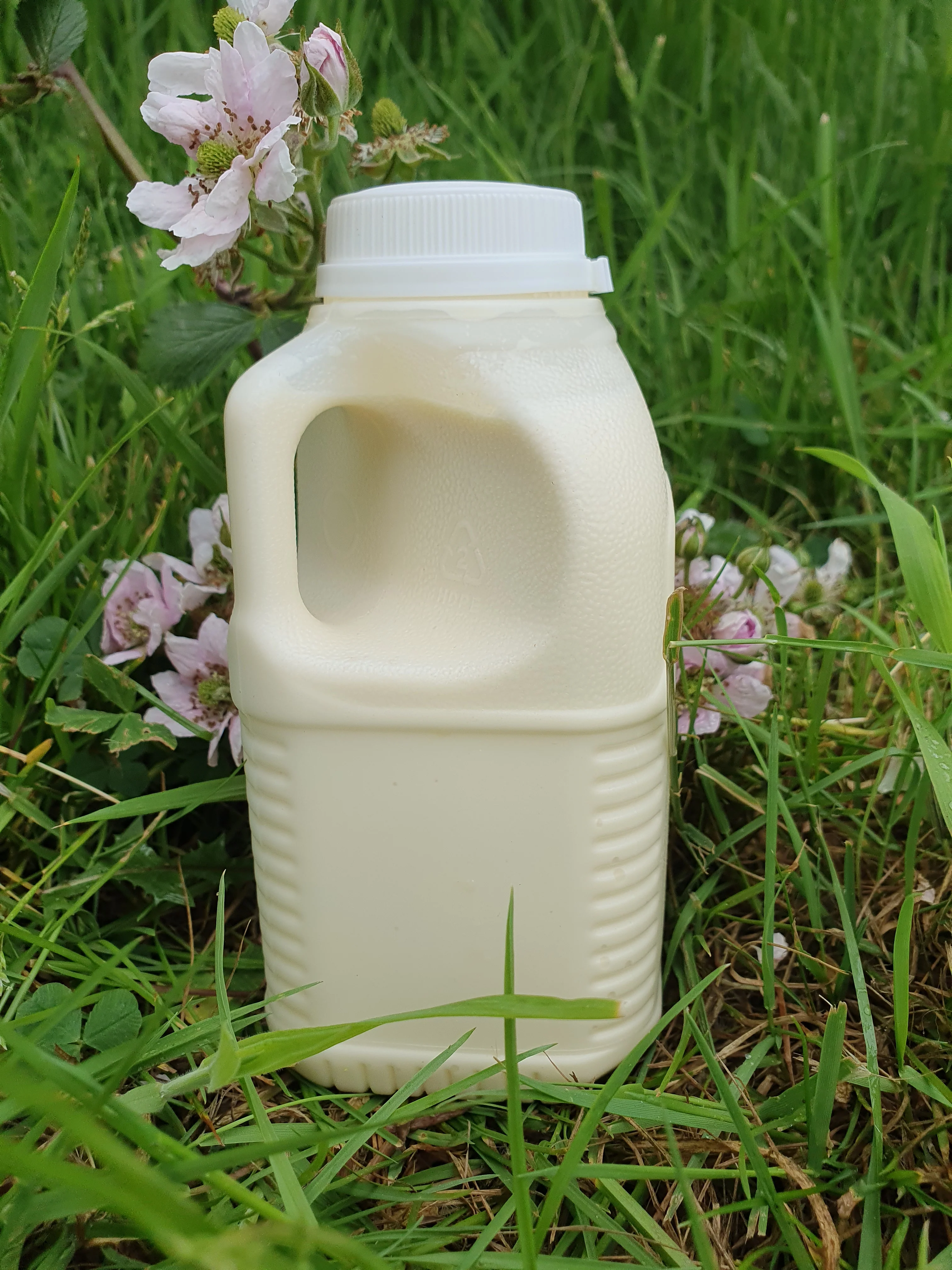 Raw A2 Milk